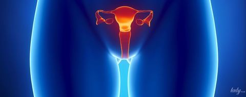 Воспаление шейки матки — симптомы, диагностика и лечение | Клиника «Альфа-Центр Здоровья»