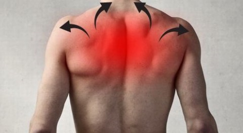 Боль в спине справа от позвоночника в грудном отделе позвоночника thumbnail