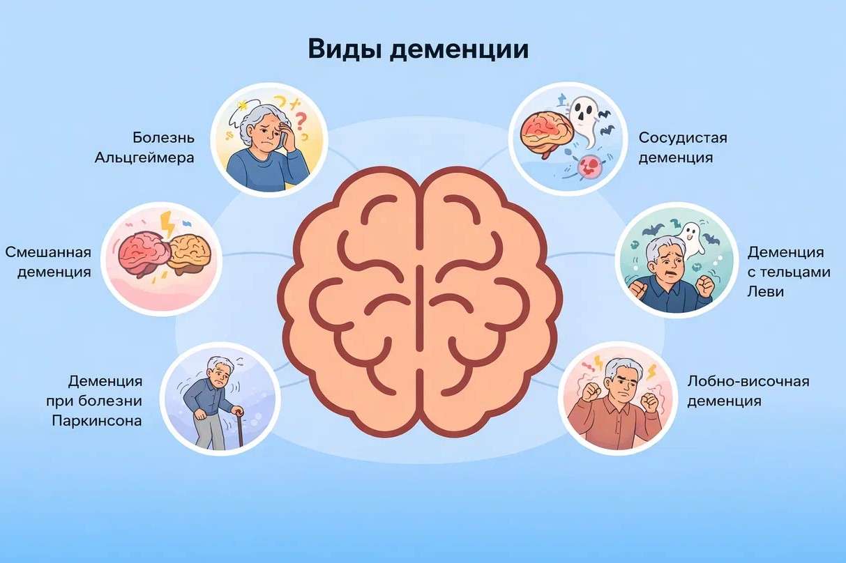 vidy demencii