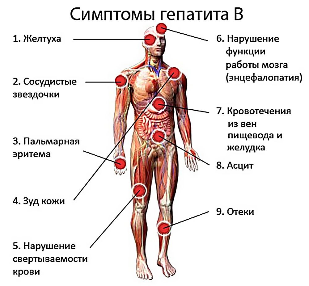 vakcicnaciya-protiv-gepatita-b1 (1).jpg